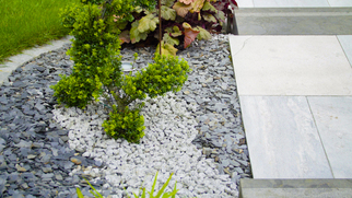 Quel paillage pour son jardin ?