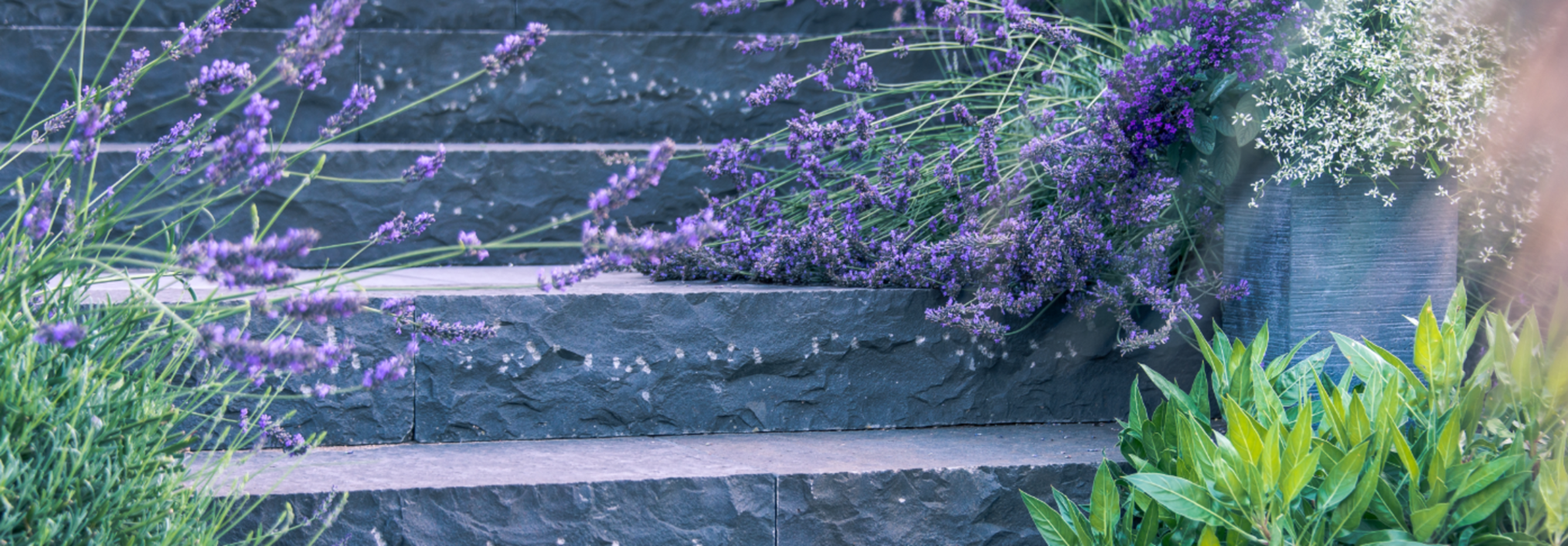 L’aménagement de jardin