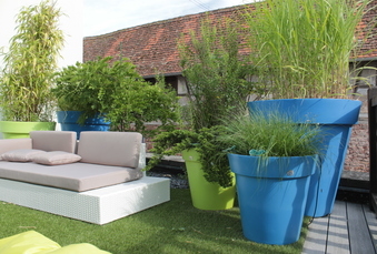 Aménager ses espaces extérieurs avec des plantes en pot