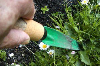 Optimiser le désherbage de son jardin