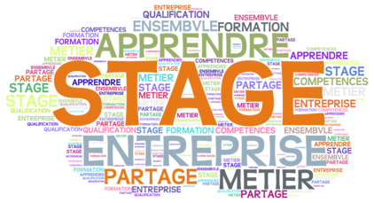 Stage découverte sur le terrain – retour d’expérience