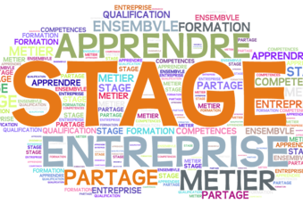 Stage découverte sur le terrain – retour d’expérience