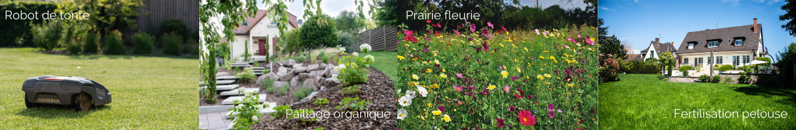 Un jardin en faveur de la biodiversité