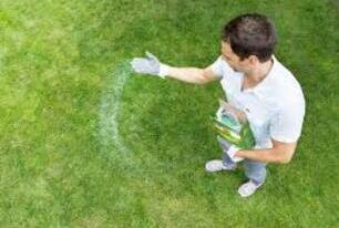 Une pelouse plus verte grâce à la fertilisation