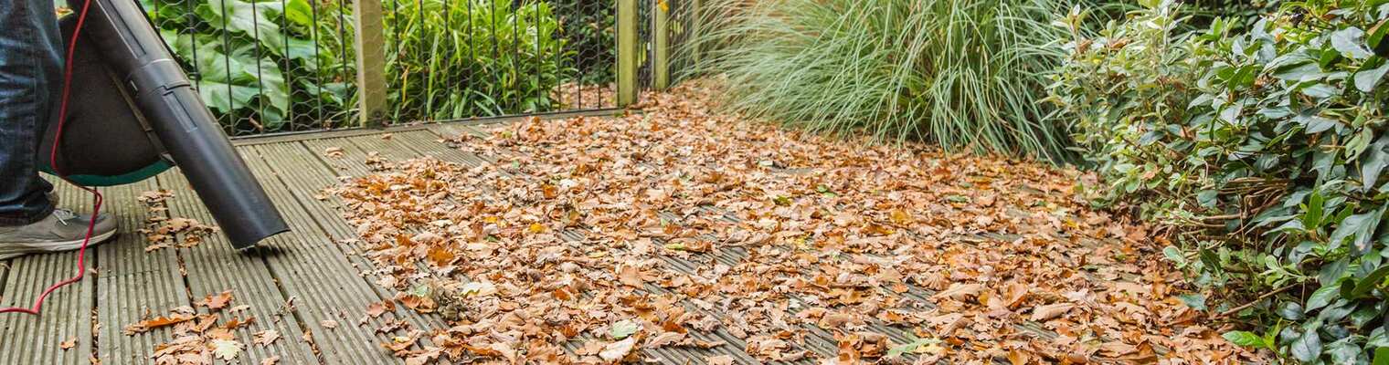 Utiliser les feuilles mortes au jardin