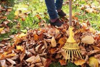 Utiliser les feuilles mortes au jardin