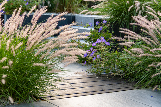 Aménagement extérieur : allée, terrasse, jardin, aquatique