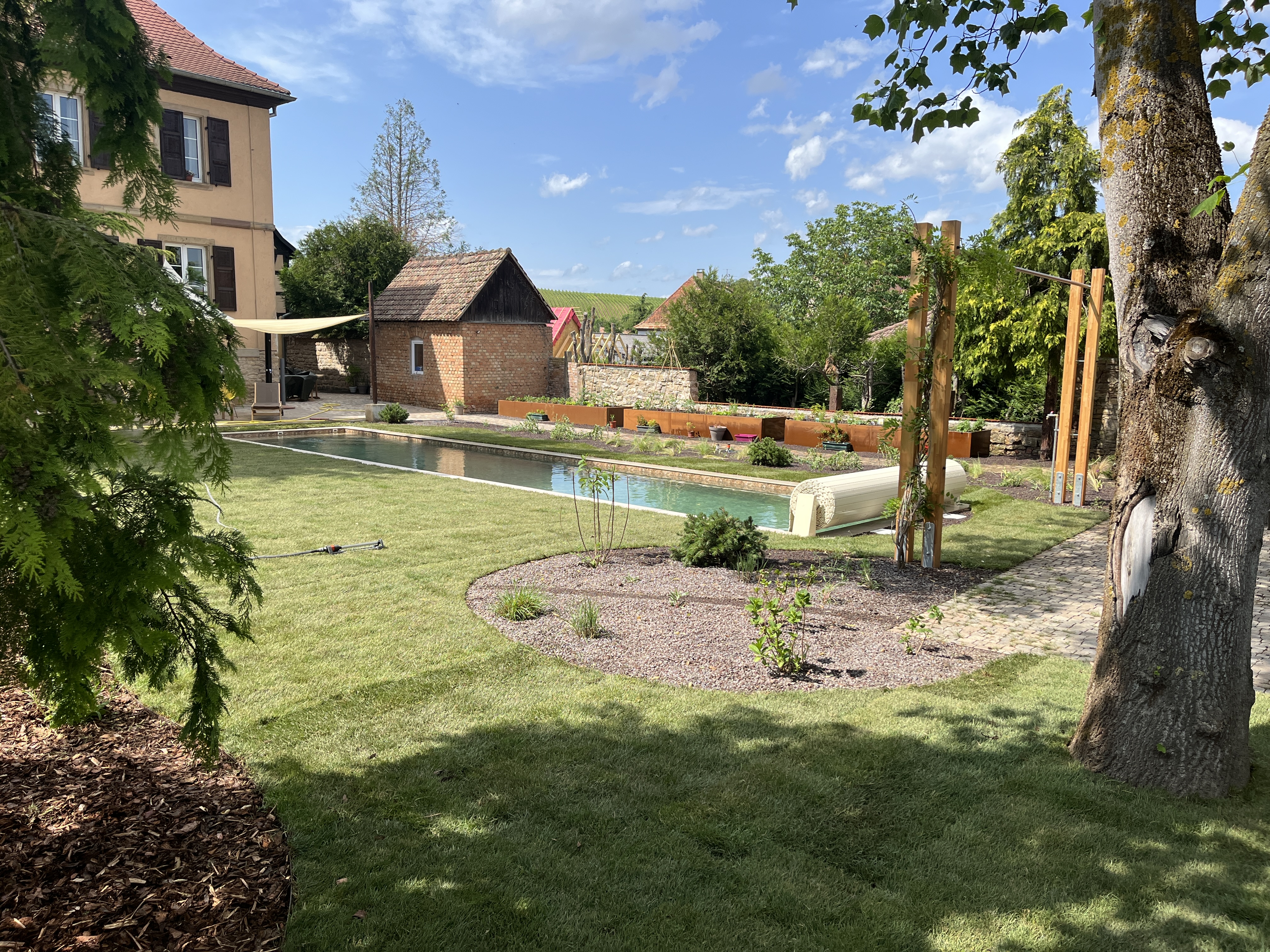 Kuttolsheim – rénovation d’un jardin alsacien avec piscine (chantier en cours + vue 3D)